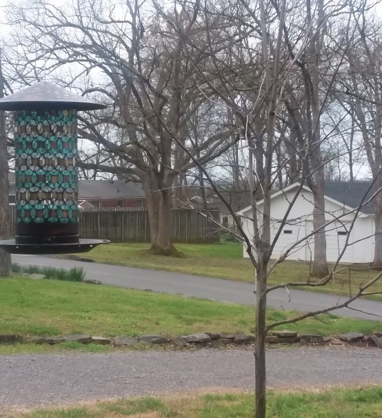 20180412_092656.jpg